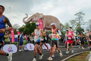 BIB: 
                            <button type="button" onclick="openModal(26528291)" class="btn btn-primary btn-sm float-right btn-popup" data-toggle="modal" data-target=".modal-high-quality">
                        <i class="fas fa-shopping-cart"></i> Add to Cart
                    </button>
                                            <button type="button" onclick="isThisMe(26528291, true)" class="btn btn-success btn-sm float-right btn-popup btn-isme hidden" data-toggle="tooltip" data-placement="bottom" title="นี่คือรูปของคุณใช่ไหม คลิกที่นี่เพื่อเอาเข้าอัลบั้ม">
                        <i class="fas fa-plus"></i> Add to album
                    </button>
                    <button type="button" onclick="isThisMe(26528291, false)" class="btn btn-warning btn-sm float-right btn-popup btn-isnotme hidden">
                        <i class="fas fa-ban"></i> Remove from album
                    </button>